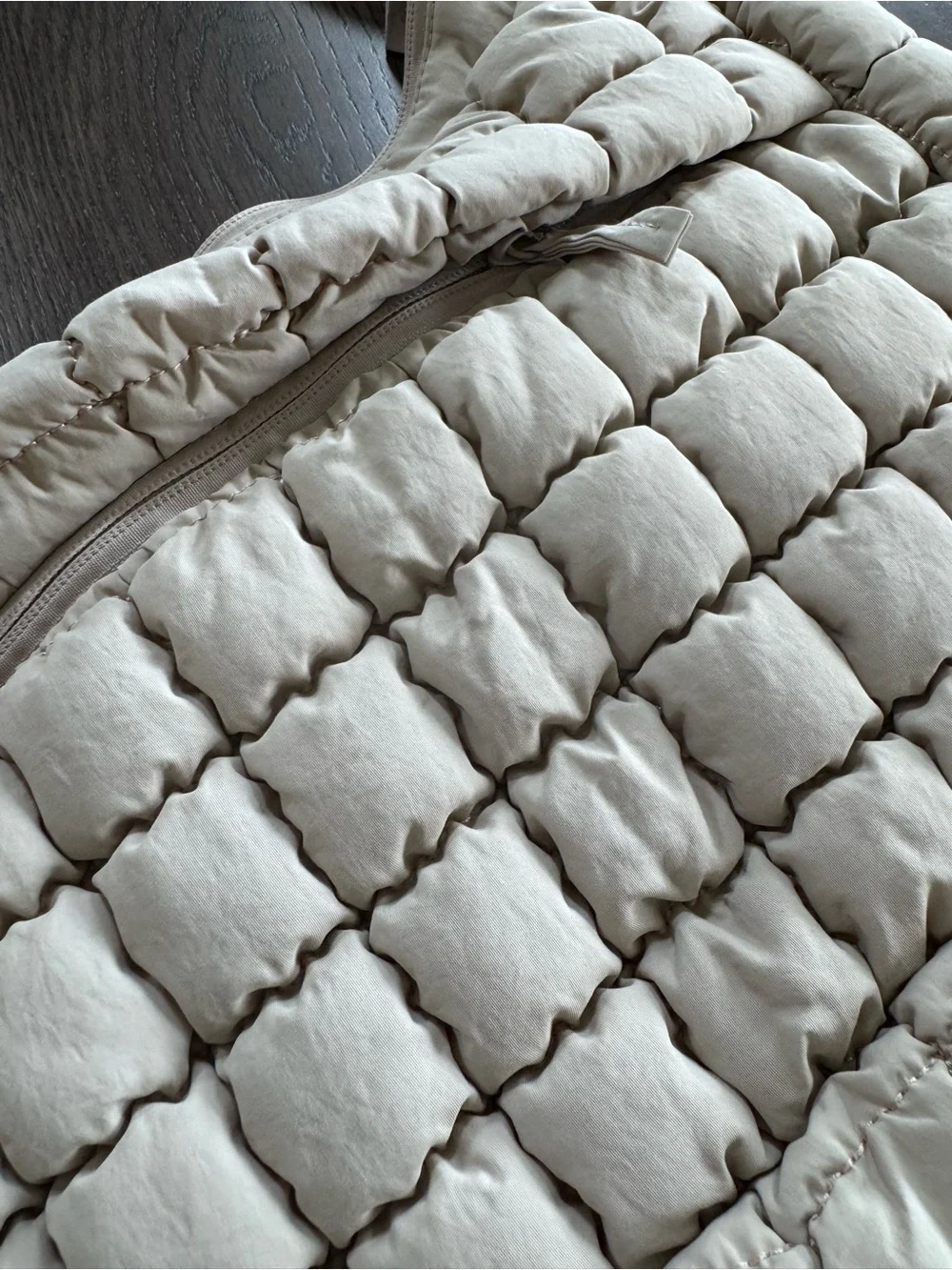 NWOT Quilted Hobo Shoulder Bag in Beige